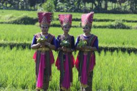 Memacu pariwisata Lombok
