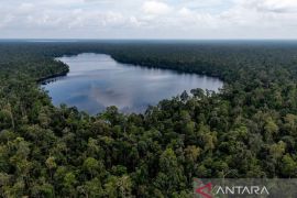 Komitmen APRIL Group dalam upaya konservasi dan restorasi