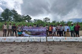 BBKSDA Papua-Freeport lepasliarkan 4.279 ekor satwa dilindungi
