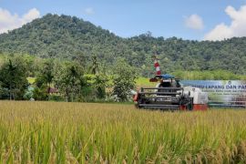 Realisasi investasi Januari-Maret 2023 di Kalimantan Barat capai Rp4,77 triliun