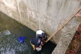 Ganjar Milenial Center Beri Pelatihan Anak Muda Banten Cara Budi Daya Ikan Lele