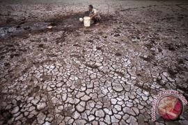 El Nino datang, tanah mulai kehilangan air