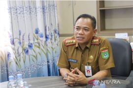 60 desa di Tanah Bumbu ikuti Pilkades serentak tahap II