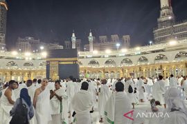 Jamaah lansia diminta tak paksakan umroh berkali-kali