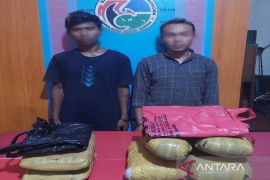 Bawa ganja, dua warga Sumbar ditangkap polisi di Madina