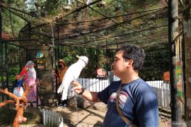 Cara hidup bersenang-senang tanpa berutang