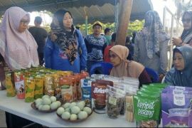 Produk UMKM Kecamatan Paringin makin dikenal masyarakat