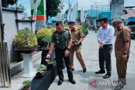 Rejang Lebong gelar pameran bonsai peringatan Hari Lingkungan Hidup Sedunia