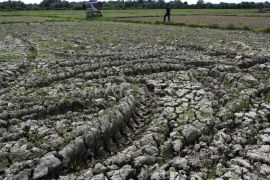 Riau masuki kemarau panjang bertepatan dengan El nino