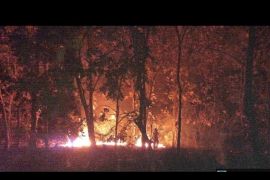 Hutan jati di Taman Nasional Baluran Situbondo terbakar