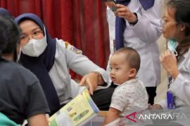 Pemprov didesak beri subsidi daging dan telur guna cegah tengkes