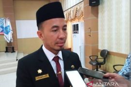 Dinpanpertan Bangka kembangkan program integrasi sapi dan sawit
