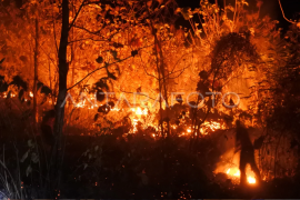 Kebakaran hutan jati milik Perhutani Page 1 Small