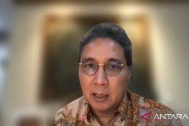 Pandemic blessing in disguise for Borobudur conservation effort: govt