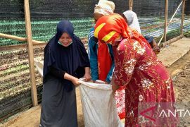 Desa Leboto Gorontalo nominator Apresiasi Kinerja Pangan Strategis