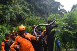 Pencarian ular King Kobra di lereng Wilis