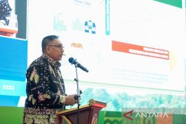 Salju abadi di Gunung Puncak Jaya mencair dampak pemanasaan global