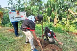 Velozity tanam 300 bibit pohon dalam rangkaian hari jadi yang ke-10