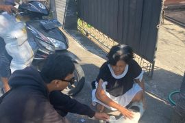 Pemkot Denpasar gerak cepat vaksinasi rabies pada anjing