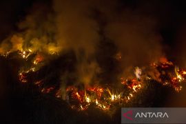 Karhutla Landa Ring Satu Area Bandara Syamsudin Noor
