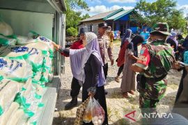 Bulog Kalteng targetkan serap lima ribu ton beras dari petani lokal