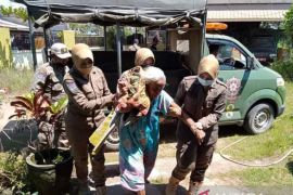 Banjarmasin bangun tempat berlindung bagi Lansia terlantar