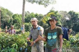 Kementan bangun Kampung Hortikultura di Luwu Utara