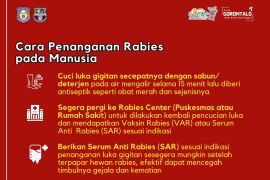 Dinas Kesehatan Kabupaten Gorontalo tangani 137 kasus gigitan anjing