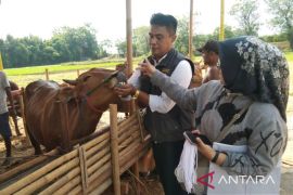 Pemkab Bekasi pastikan kondisi kesehatan hewan kurban