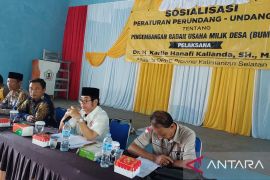 DPRD Kalsel: BUMDes atasi permasalahan ekonomi pedesaan