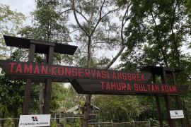 Kalsel konservasi ratusan anggrek spesies di Tahura