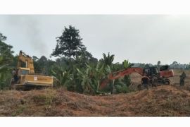 Pembersihan areal HGU No.94 PTPN 2 Kebun Limau Mungkur berlangsung kondusif