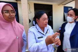 Dinas Pertanian Kapuas belajar ke Tapin maksimalkan "food estate"