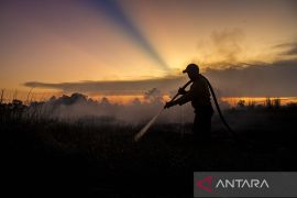 Karhutla di dekat Bandara Syamsudin Noor Kalsel