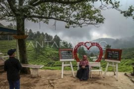 Kunjungan wisata ke Bogor