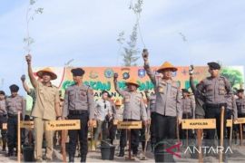 Polda Bangka Belitung tanam 2.000 kayu putih di hutan lindung