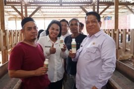 Pj.Wali Kota Tebing Tinggi kunjungi usaha ternak Kambing Beringin Karya Farm