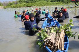 Melanjutkan program carbon offset, inisiatif Telkomsel jaga bumi tanam 15.060 pohon di kawasan hutan mangrove Indonesia