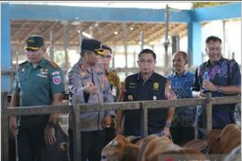 Banjarmasin pastikan stok bahan pokok dan hewan kurban mencukupi