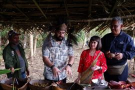 Menguak potensi sagu di Papua yang dilirik Qatar