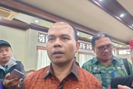 BPBD: Bali perlu tambahan sirene tsunami dan peringatan erupsi