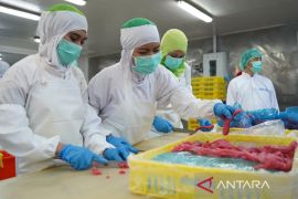 KKP pastikan produk perikanan aman dikonsumsi