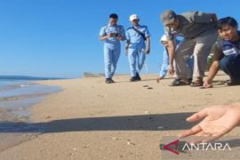 Warga dan mahasiswa lepas tukik di Pantai Sembilan