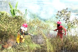 BPBD: 33 titik kebakaran Karhutla di Tanah Laut