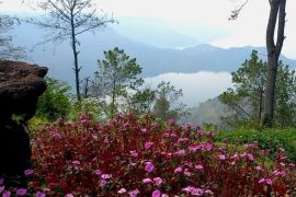 Catatan Ilham Bintang - Puncak Tongging, Legenda Danau Toba, dan Lampu Pocong Kota Medan