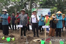 Tekan stunting, Pj Gubernur Banten Al Muktabar luncurkan gerakan menanam sejuta pohon kelor