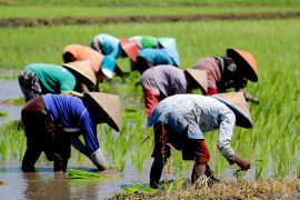 Pupuk Indonesia perkuat kolaborasi Makmur tingkatkan produktivitas pangan nasional