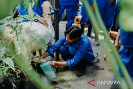 Wahyudi menjawab keprihatinan buka peluang bisnis susu kambing segar