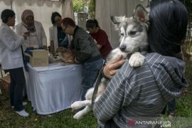 Pemprov Jabar siapkan 5 langkah antisipasi cegah rabies
