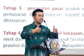 Wagub Emil ajak APKASI Jatim berikan penguatan sektor ekonomi kreatif